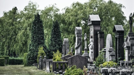 Bezoek Schoonselhof met gids